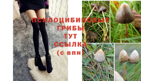 меф Зеленодольск