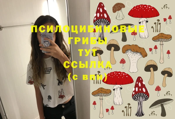 ALPHA-PVP Зеленокумск