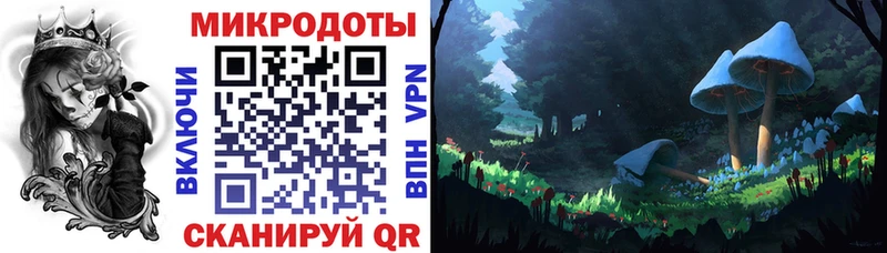 Галлюциногенные грибы Psilocybe  Купить  Давлеканово 
